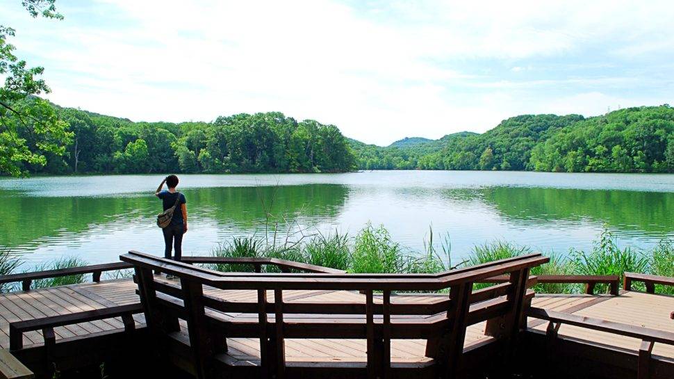 Radnor Lake